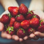 Da li je proizvodnja voća dobar biznis?